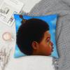D-Drake For All the Dogs Pillow Case Square Double-Sided Printing Short Plush Sofa Cushion Cover Bedside Pillow
