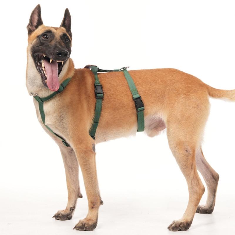 Dog Harness Anti Escape Vest Adjustable Training Vest Pet Strong Training Walking Swimming Hiking Anti Escape Belt