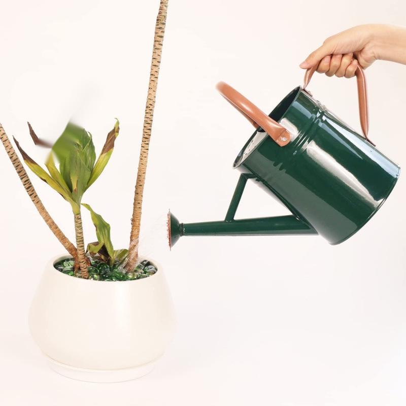 4L Premium Dual-Use Watering Can for Flowers (European & American Style)