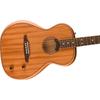 Fender Highway Series Parlor Acoustic Guitar Rosewood Fingerboard All-Mahogany with Gig Bag