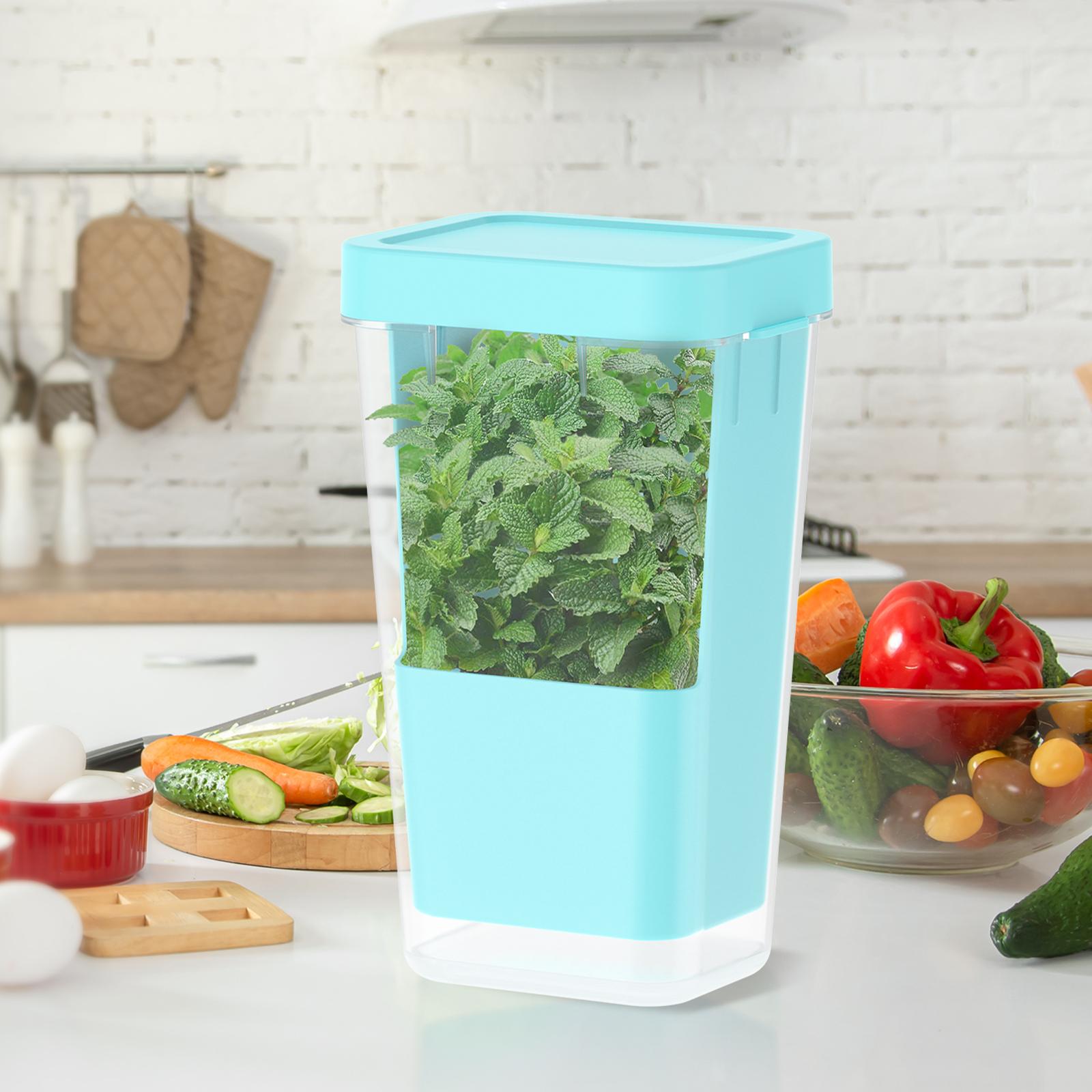 

Vegetable Preservation Pod Bottle Herb Freshs Keeper for Refrigerator Asparagus Keeper Fresh 2-3weeks Herb Keeper for Cilantro