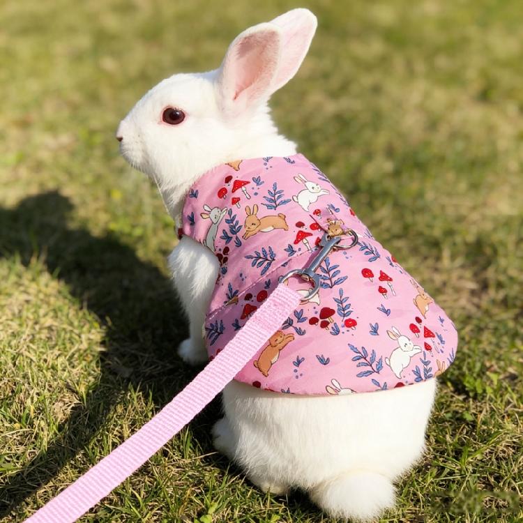 Fashion Rabbit Print Pet Harnesses With Detachable Leashes Soft Cotton Suitable for Small Animals