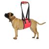New Product Dog Auxiliary Belt Elderly Dog Disabled Pet Rehabilitation Exercise Belt Upstairs Assistance Belt Pet Products