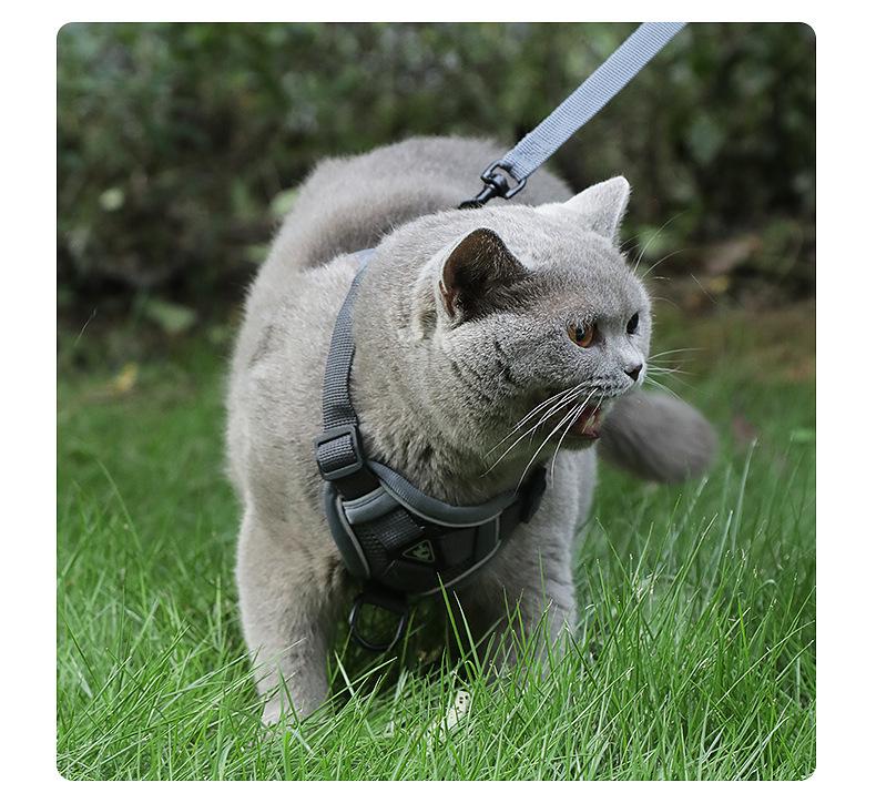 Reflective Vest-Style Cat Leash & Breathable Harness for Small/Medium Pets