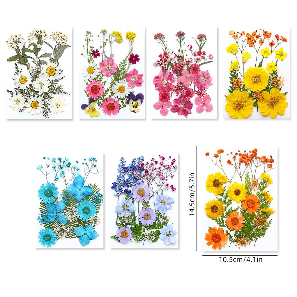 Dried Pressed Flower Handmade Decorative Artificial Flowers Dry Plant Resin Scrapbook Craft DIY Accessories Home