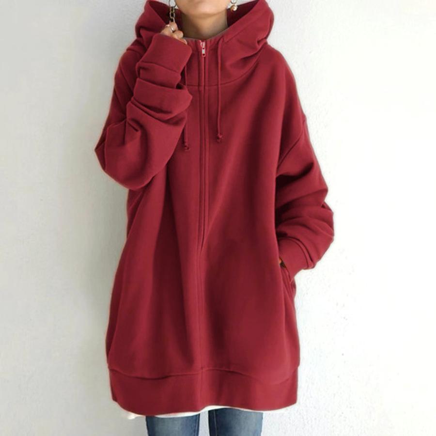 Autumn Winter New Style Streetwear Zip-Up Hooded Long Sleeve Fleece Sweatshirt