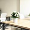 Peony Flower Artificial Plant For Home Decor And Photography Props