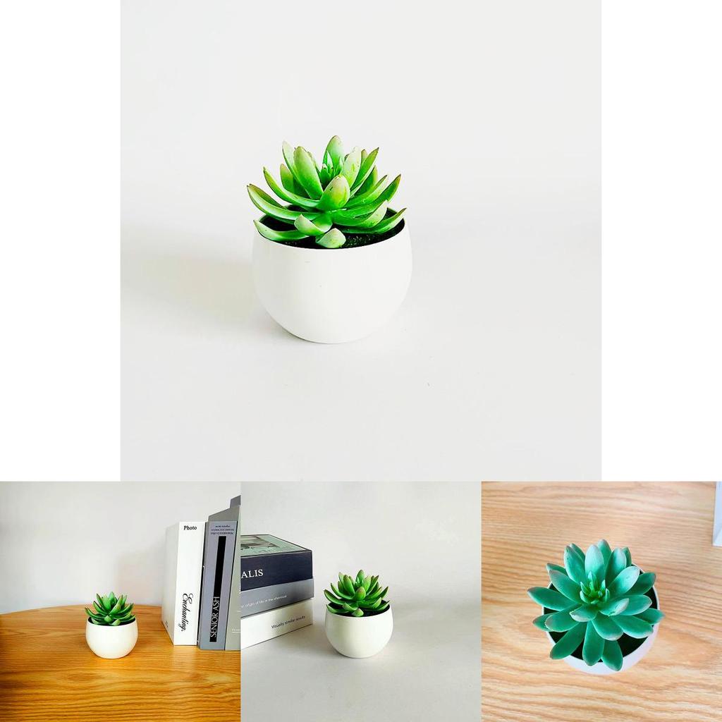 Imitation Succulent Plant Container With Durable Pvc For Home Interior Decoration