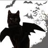 Halloween Cute Pet Clothes Black Bat Wings Harness Costume For Halloween Cosplay Cat Dog Halloween Party For Pet Supplies