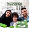 Herbal Aloe Vera Gel Toothpaste + FREE Toothbrush Dabur HERB'l