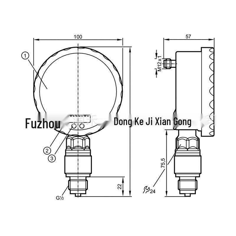 PG2409 ifm Flush-Mount Pressure Sensor with Analog Display - New, Original, In Stock PG2409