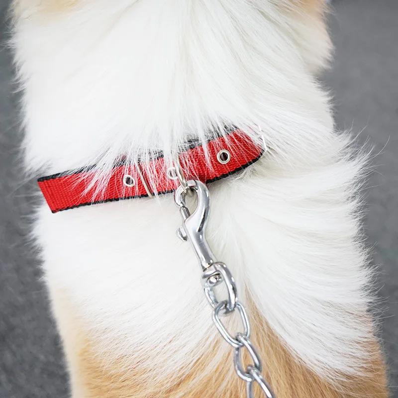 Adjustable Nylon Dog Collar Pet Neck Strap Safety Accessories for Small Medium Large Dogs