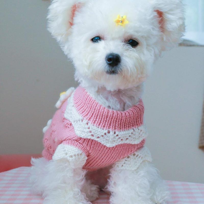1pc Pet Clothes for Autumn and Winter, Soft and Comfortable Cute Floral Sweater for Dogs and Cats - Pink