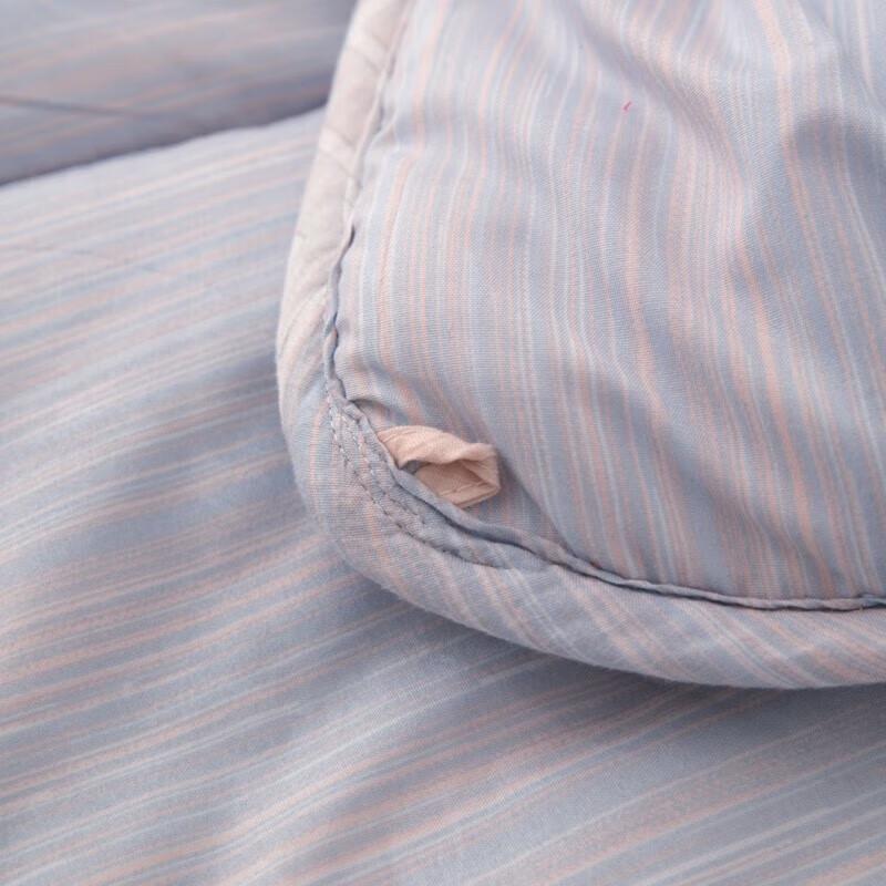 Hengyuanxiang Dream Silk Quilted Pillow Blanket