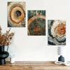 1pc Nordic Tree Ring Abstract Art, Modern Abstract, Scandinavian Abstract Wall Art, Wood Rings Wall Art, Nordic Fine Arts