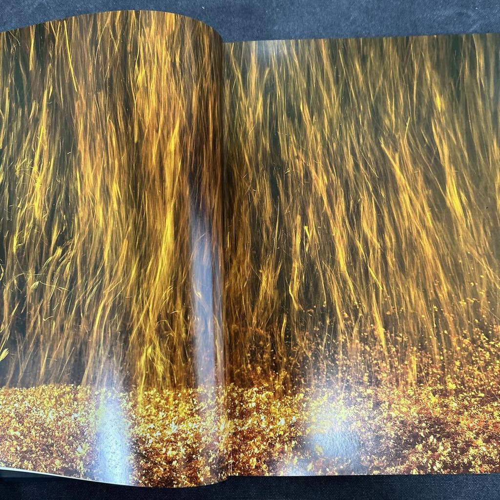 [USED] Luxury Book: The Shape of Gloss Kanazawa by Keiichi Tahara