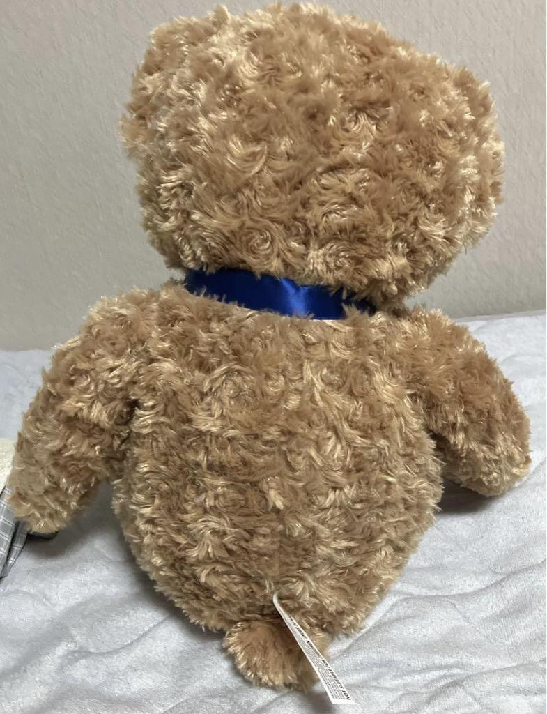 [USED] DAISO Campaign Limited Edition Honey Teddy Bear Plush Toy, Large
