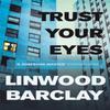 Trust Your Eyes by Linwood Barclay Paperback Book 9781409120315