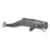 Schleich Wildlife Sperm Whale Figurine 14764