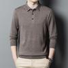 Spring and Autumn Men's Wool Sweater High-end Knitted Cashmere Men's Long-sleeved T-shirt Lapel Shirt