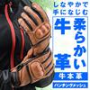 Daytona Motorcycle Gloves Spring/Summer/Autumn Genuine Leather (Cowhide) Hard Protector Smartphone Compatible Cow Leather Punching Mesh Protector Glov