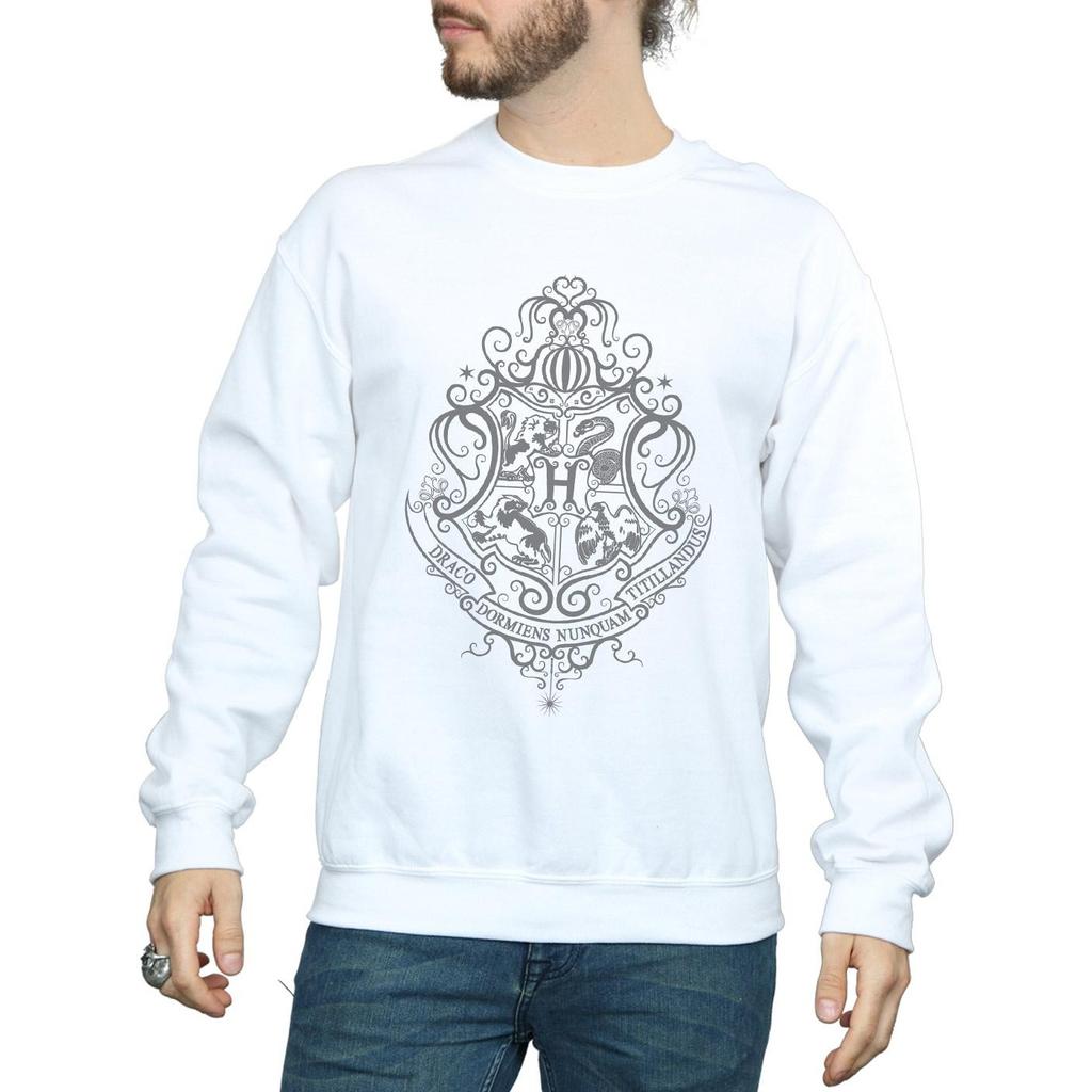 Harry Potter Mens Hogwarts Draco Dormiens Crest Sweatshirt