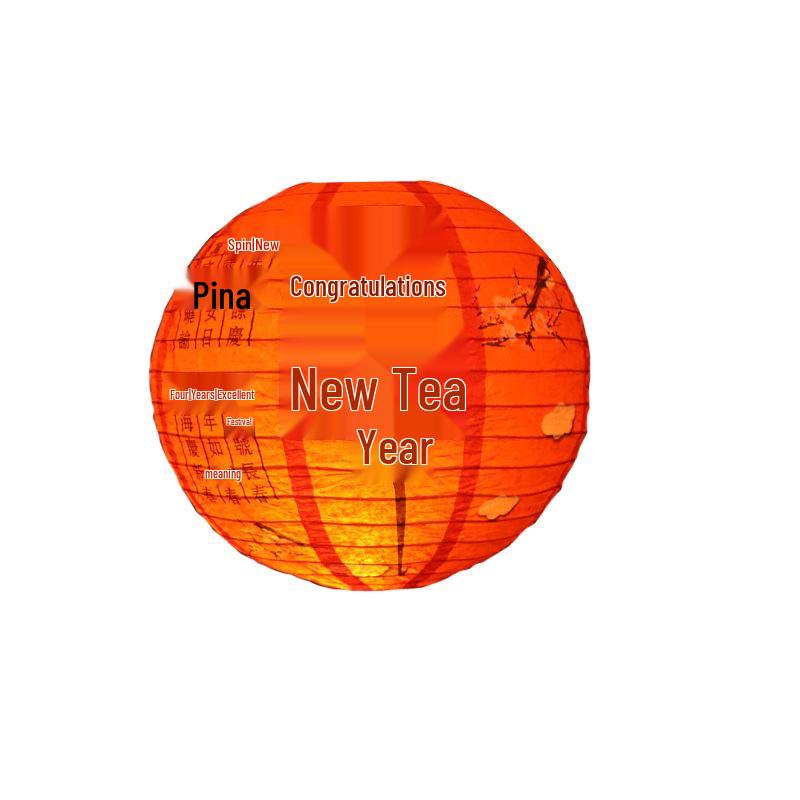 Chinese New Year Fu Character Paper Lantern - Spring Festival Atmosphere Decoration with Ancient Style Pendant