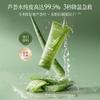 Botanism Curacao Natural Aloe Vera Gel Moisturizing and Moisturizing Special Acne Stain Removal and Post Sun Repair 4 Pieces Stock Pack