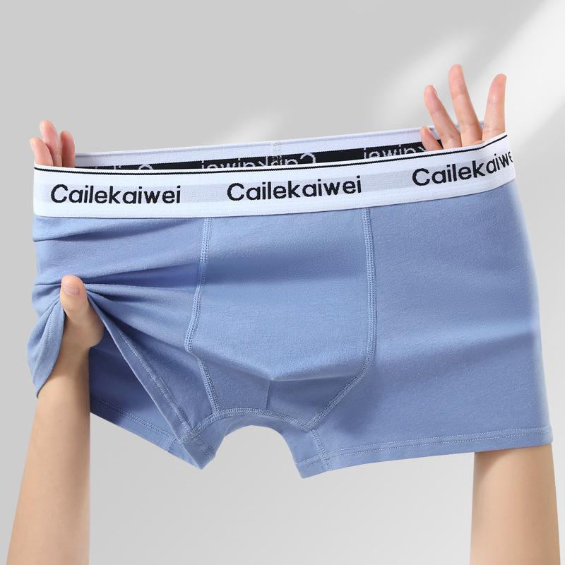 Large Size Men's Spring and Summer Cotton Anti Bacterial Breathable Youth Flat Angle Underwear