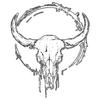Oversized Crewneck T Shirt Black Bull Skull Graphic Print Unisex Streetwear Casual Wear