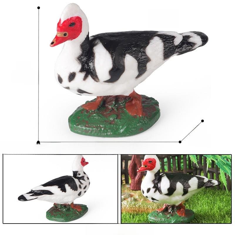 

Friendly Animal Kid Model Set Realistic Chicken Duck Figures Decor Classroom Style D