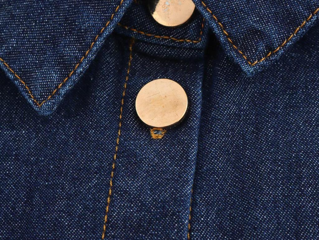 2024 Herbst/Winter Damen Vielseitiges Weiches Langarm-Revers-Denimhemd - Europäischer & Amerikanischer Stil