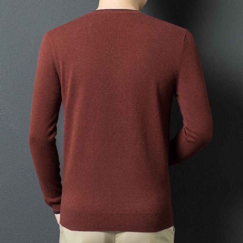 Men's 100% Pure Wool V-Neck Sweater