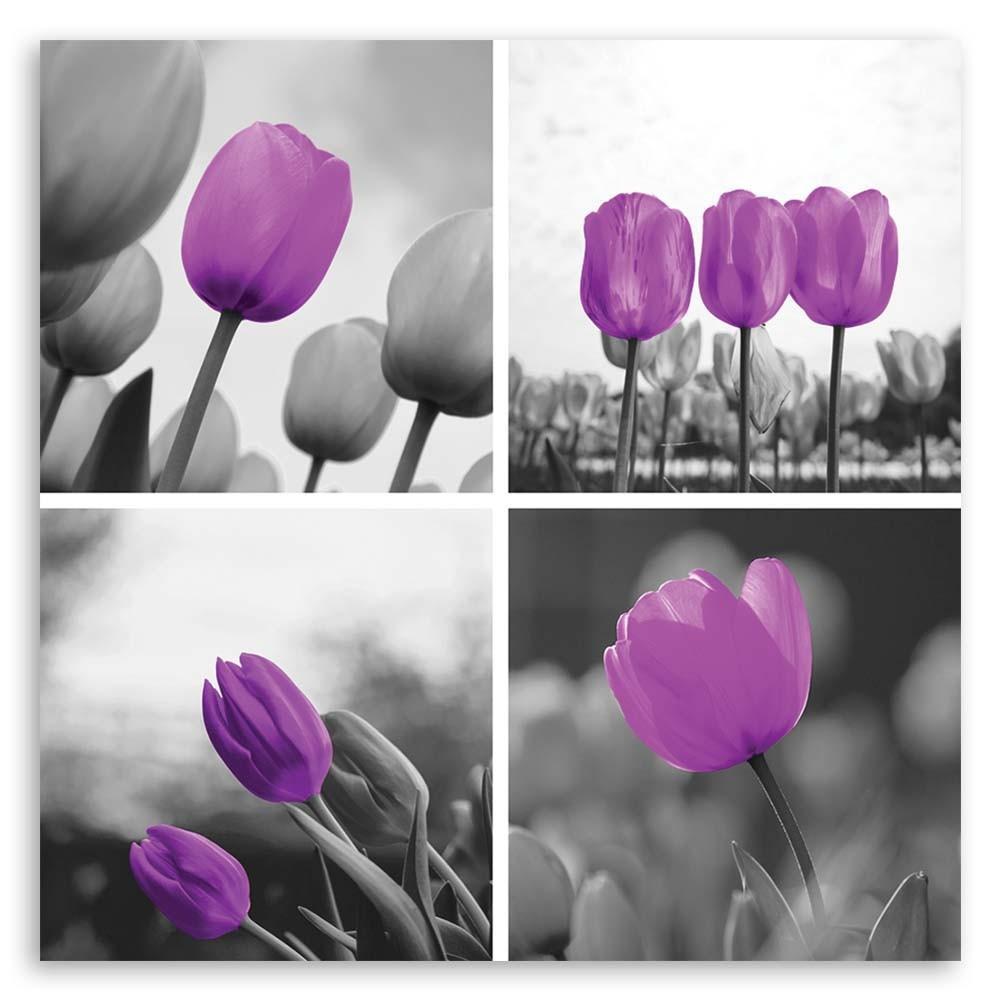 Obraz na plátně, Sada fialových tulipánů