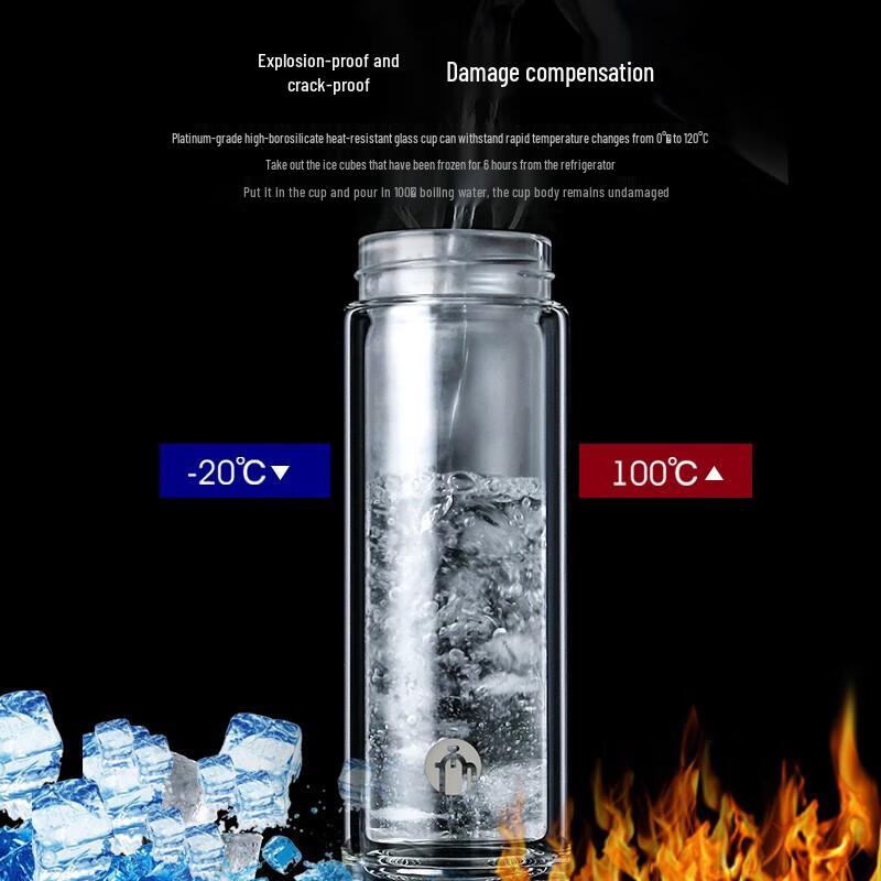 FUGUANG Double Wall Borosilicate Glass Tea Infuser Bottle