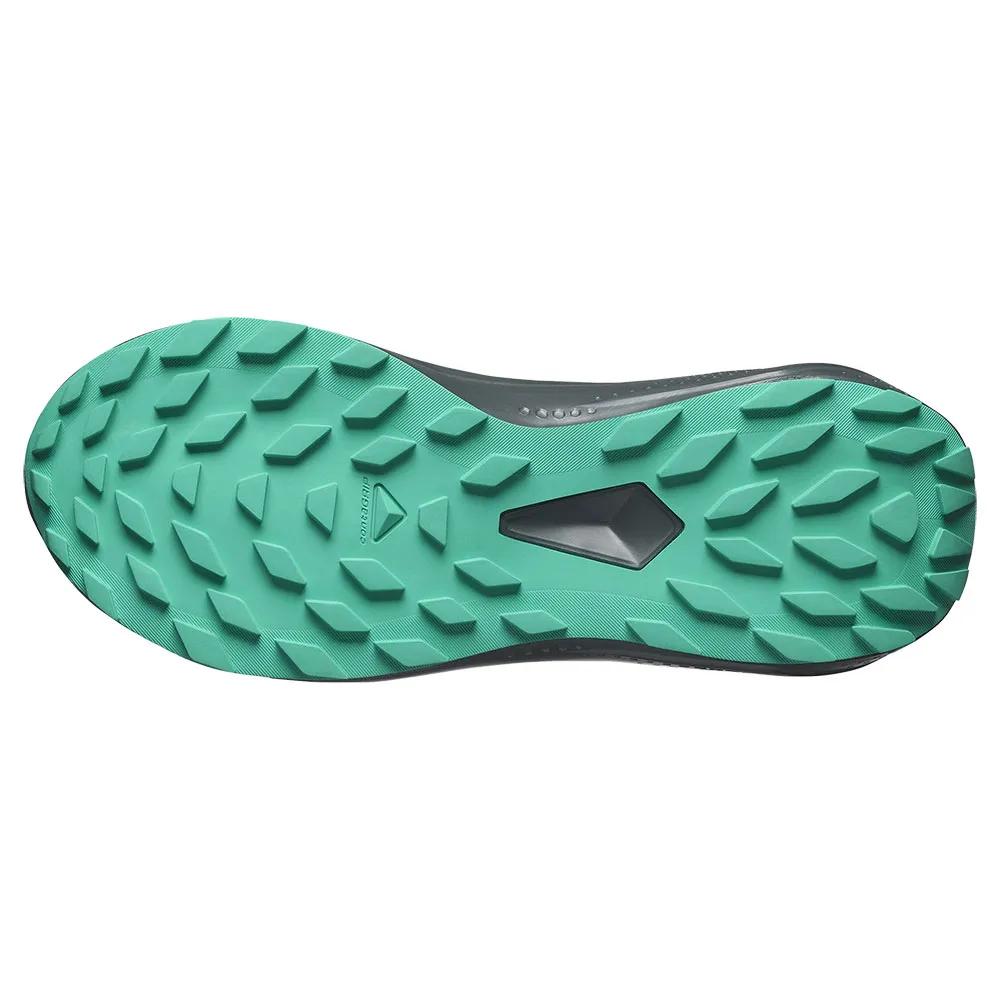 Salomon Кроссовки для трейлраннинга Alphaglide Goretex