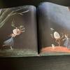 [USED] English version picture book Binette Schroeder Laura and the Mysterious Egg