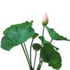 Landscape Artificial Flower DIY Decoration Long Stem Artificial Lotus Artificial Flower Pole Lotus Pod Simulation Lotus