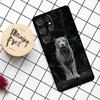 Tier Tiger Hülle Für Samsung Galaxy S25 Ultra S23 S22 S21 S20 S24 Ultra S9 S10 Plus S25 FE Handyhülle