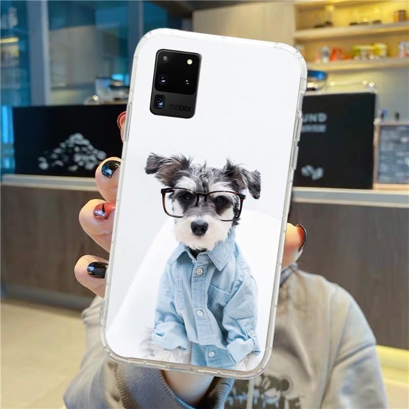 Roztomilý pes knírač nosí brýle pouzdro na telefon pro Samsung Galaxy S10 S21 S22 Plus Ultra A91 A51 A21S A12 Průhledný kryt na telefon