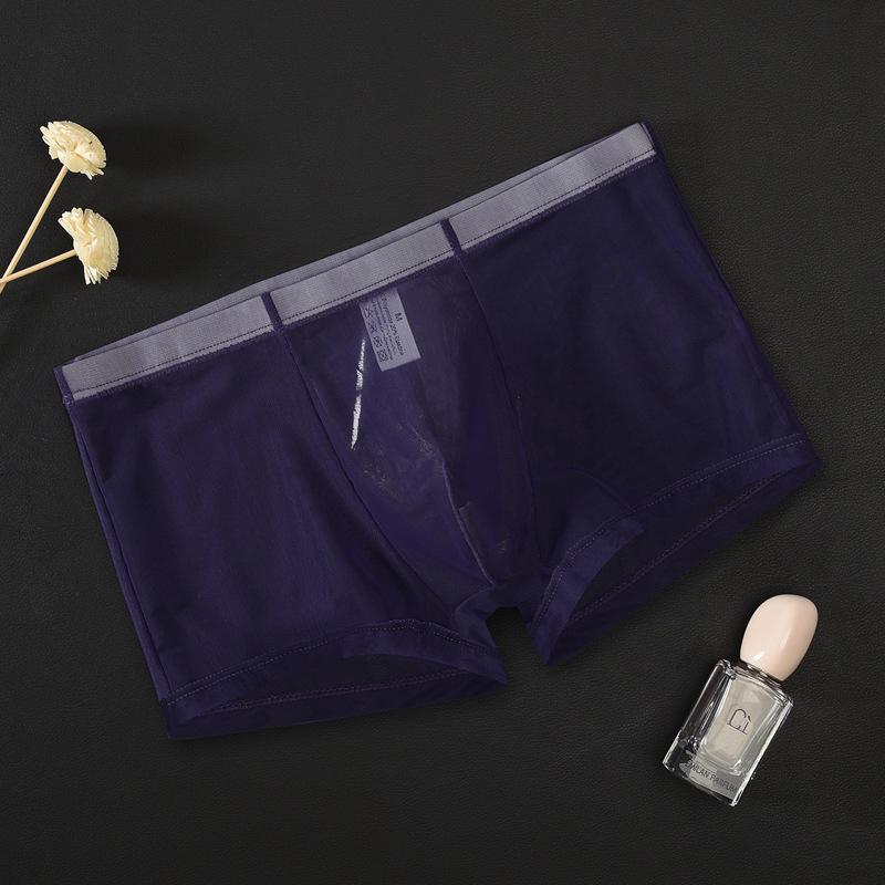 Men Intimates Mid Waist Panties Bulge See Through Lingerie Transparent Boxers Sexy Men Underwear
