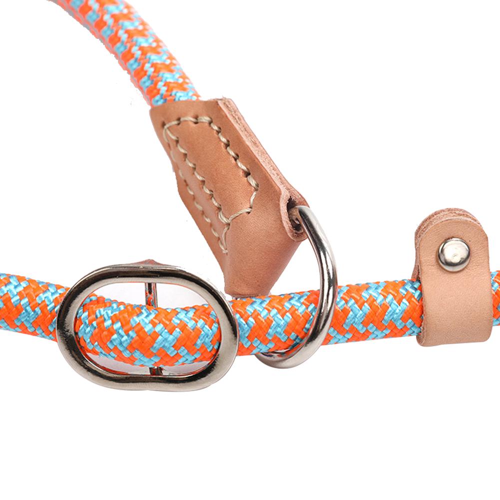 professional dog leash