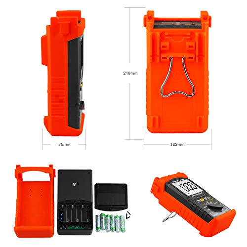 BTMETER BT-6688B Digital Insulation Resistance Meter, 5000V Test Voltage, 750V AC Max, 200G Ohm Insulation Resistance Meter with High Voltage Indicato
