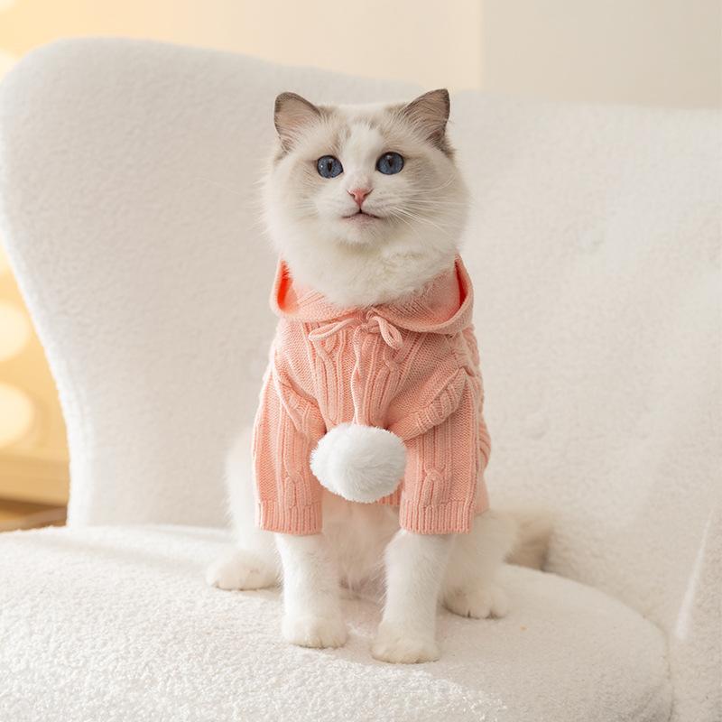Cat clothes hooded double hairball two feet autumn and winter warm sweater into cat puppy cat anti-hair loss pet clothing