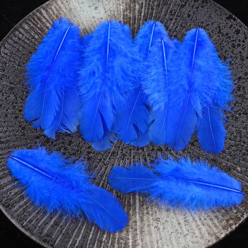 Mixed Color Chicken & Peacock Feathers for DIY Ornaments, Handicrafts, and Handmade Clothing Accessories.
