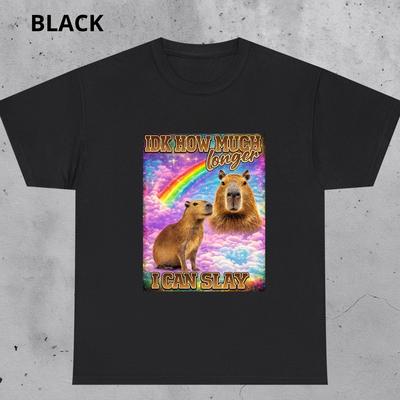 Capybara T-Shirt and Kids Tshirt, Funny Animal Meme, Rainbow Clouds, Humorous Gift