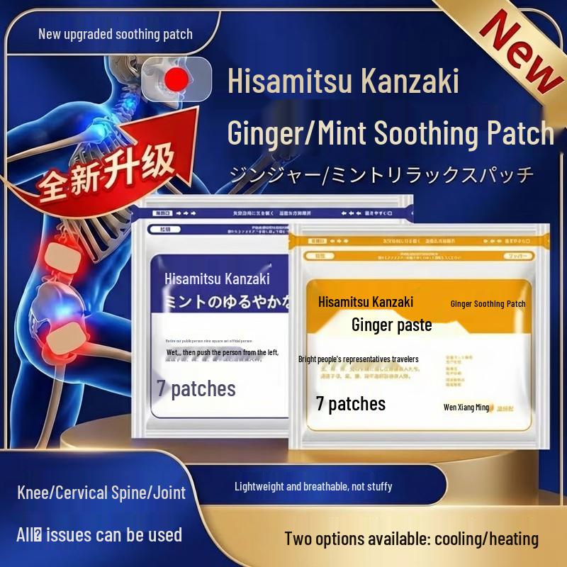 Hisamitsu Pain Relief Patch for Joints & Muscles