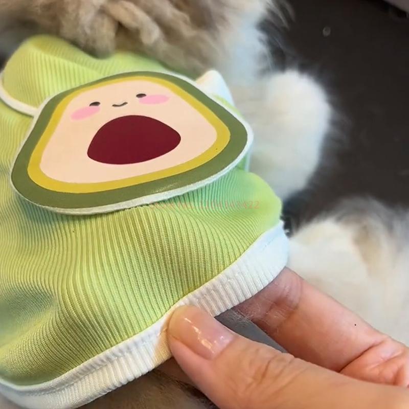 Cat Clothes Cute Summer Avocado Outfit Dress Up For Persian Cat Siamese Kitten Platinum Gradual Layer Cat Change Accessories