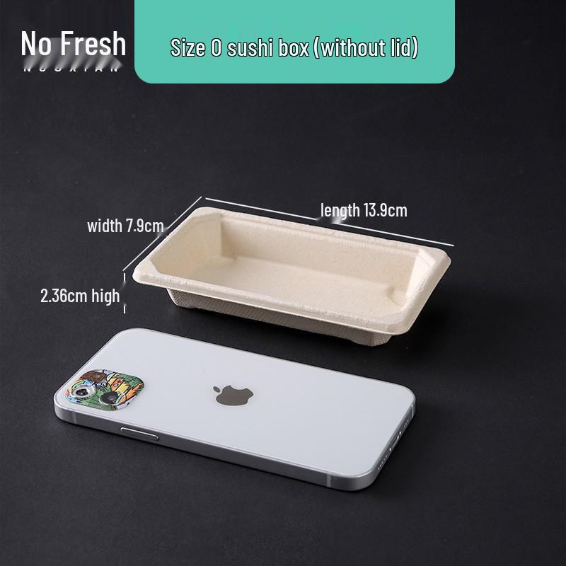 

Eco-Friendly Rectangular Sushi Takeaway Box