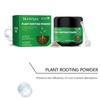 100g Växtrotpulver Främjar Starka Rötter Plantor Förbättrar Stressresistens, Används för Hemträdgård och Underhåll